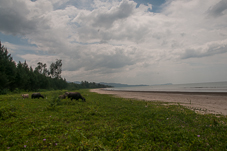 Pakarang_Khao_Lak-023